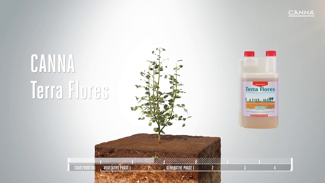 (UK) CANNA Terra Flores