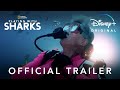 Playing with Sharks 2021 FULL MOVIE HD 〘Documentary〙- Sally Aitken, [Free]
