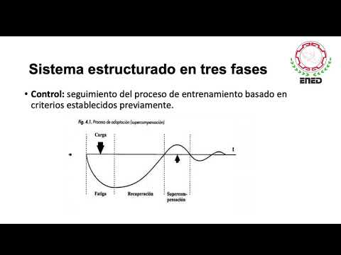 Video: Sistema De Entrenamiento Zhokhov: Resultados, Revisiones