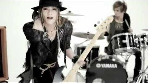 D=OUT - Zenshinzenrei LIVES PV