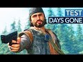 Die Open World ist der Star - Days Gone im Test/Review