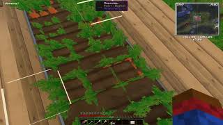 Новая жизнь Обустройка дома StreamCraft Magic#2