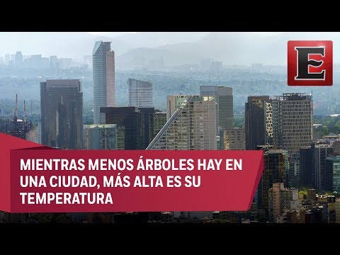 Cambio Climático: Islas de calor urbanas