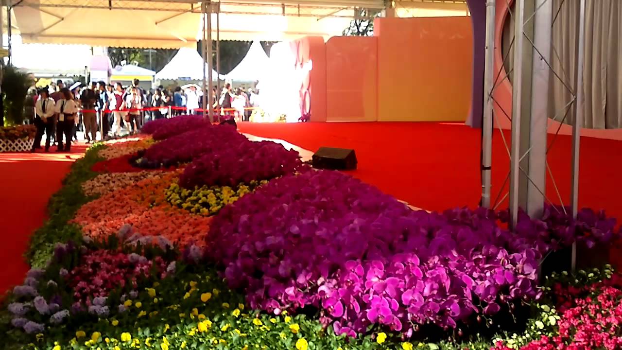 victoria park flower festival hk YouTube