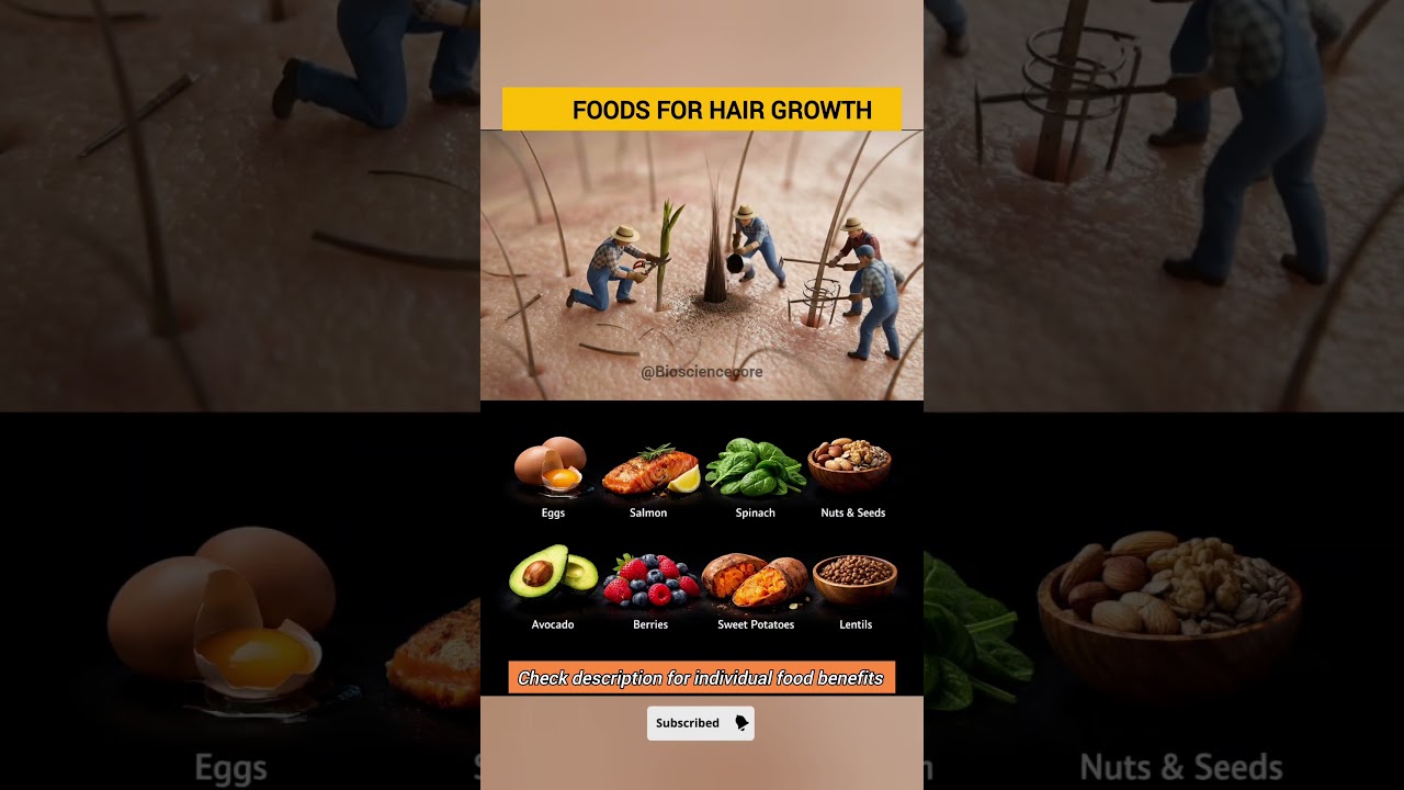 Foods That Support Hair Growth Naturally 