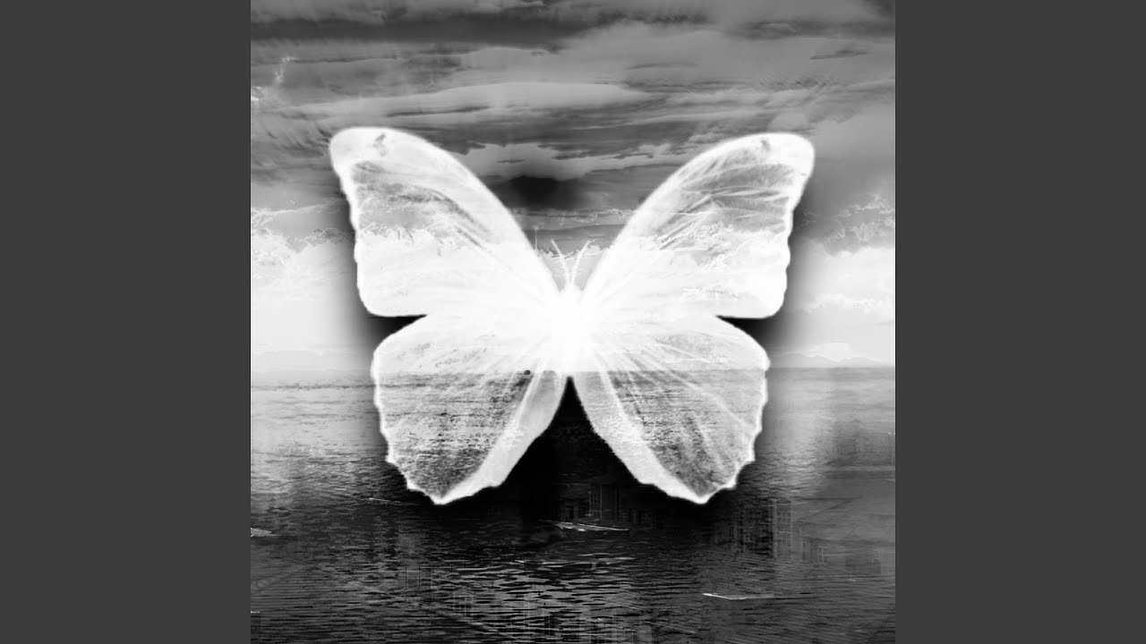 Watch FLY / STAR on YouTube Watch FLY / STAR on YouTube