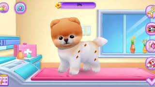 Boo-World's Cutest Dog Gameplay screenshot 4