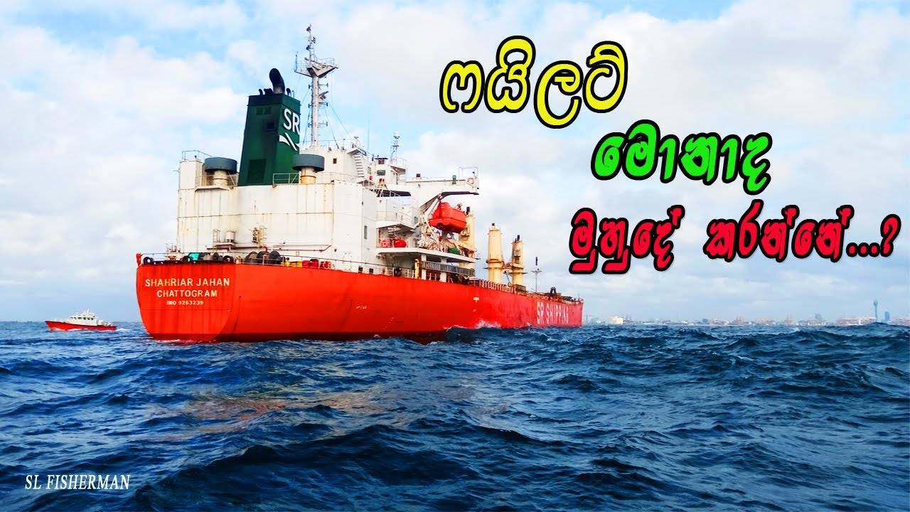 What Is Pilot Doing At sea.......? YouTube