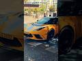 Just a 1 of 1 Lotus Mansory GTE Final Edition....things you see in Puerto Ban&uacute;s 💛
