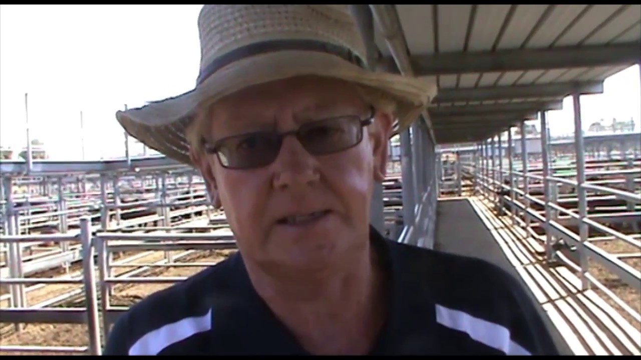 Season High 3275 For Ballarat Joined Heifers Farm Online