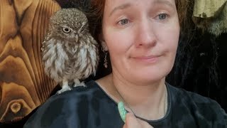 The little owl Luchik is working on himself and struggling with his fears