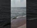 Discover the HIDDEN GEMS of Woodbine Beach on a Stunning Lake Ontario Walk