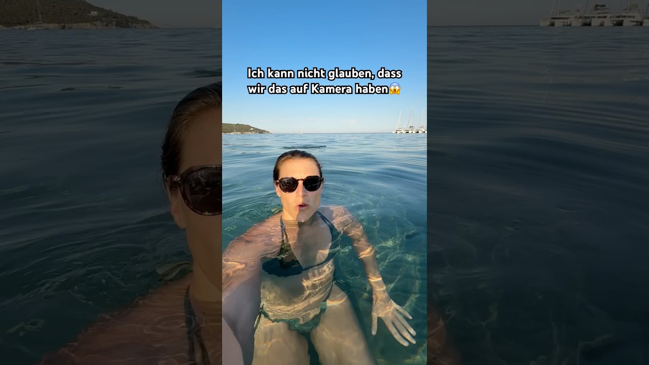 Wie wunderschön😍🐬