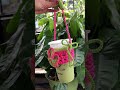 #cupholder