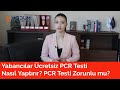 Yabancılar Ücretsiz PCR Testi Nasıl Yaptırır? PCR Testi Zorunlu mu?