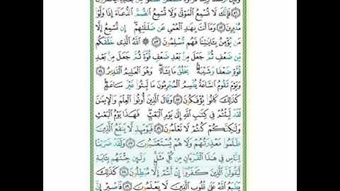 #سورة الروم#الآيات(57-58)تلاوة وأحكام آ.سمية#قليل دائم خير