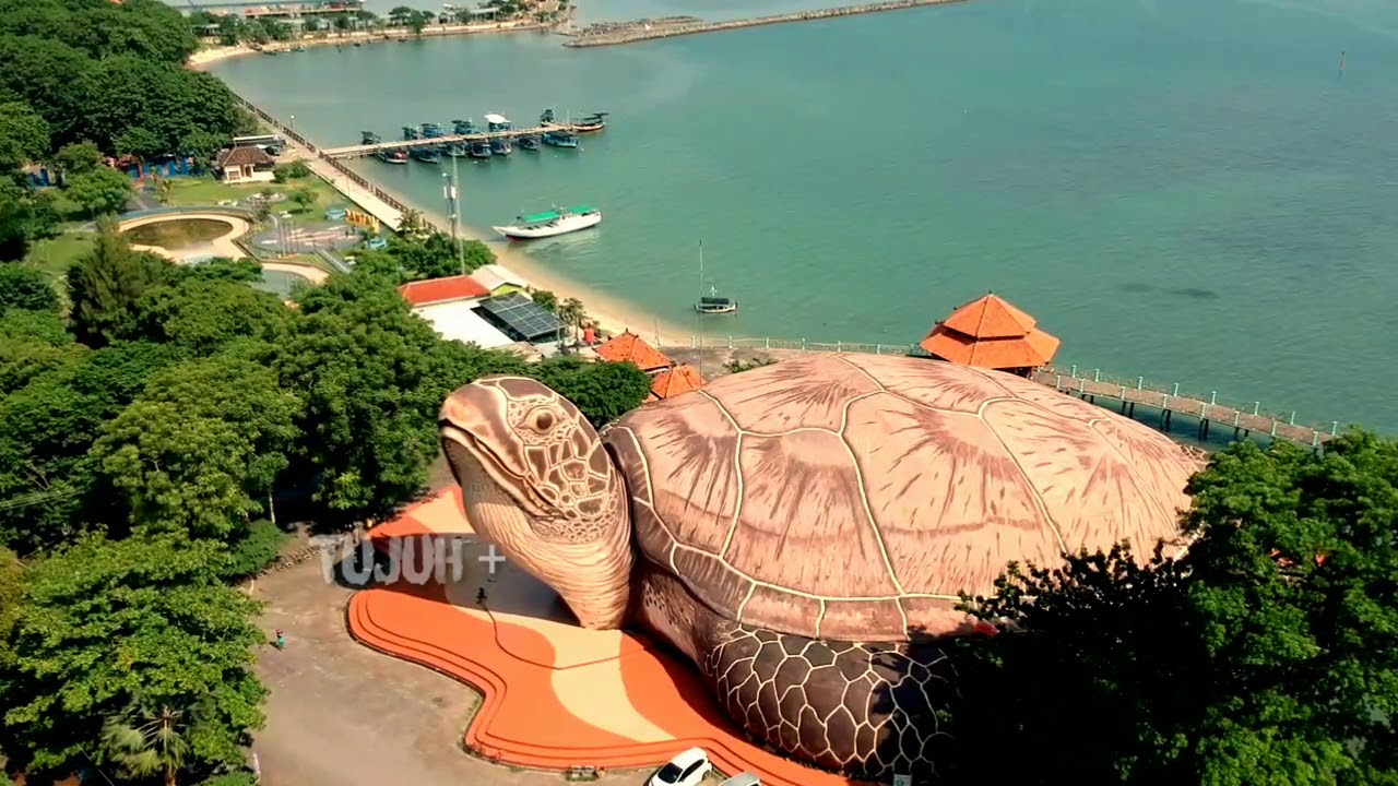 Pantai Kartini Dunia Bawah Laut Kura Kura Ocean Park Jepara Youtube