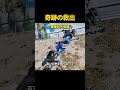 崖の下に閉じ込められた子犬を救おうと、見知らぬ人たちが手を取り合った理由