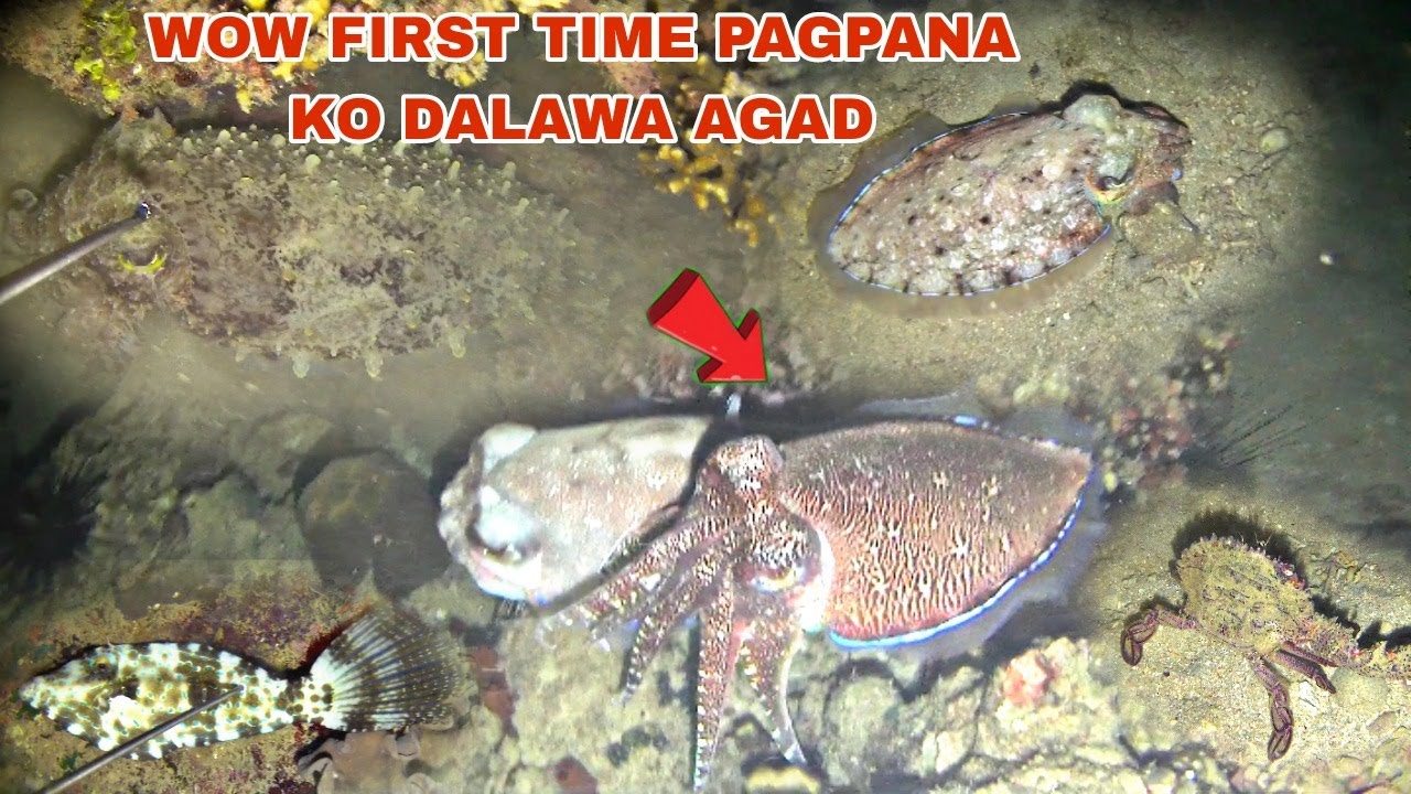 WOW FIRST TIME PAGPANA KO DALAWA AGAD,Night Spearfishing Philippines | kabogsay tv