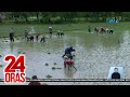 NFA, humahanap na ng pasilidad para sa pagpapatuyo ng mga basang palay | 24 Oras