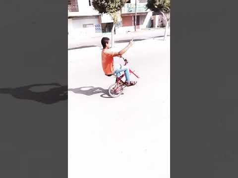 العلم عمر الاسد مهرجان ممنوع تدخل يلا عبنا 