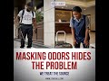 MASKING ODOR HIDES THE PROBLEM #strickallpestcontrol #commercialpestcontrol #pestremoval#pestcontrol