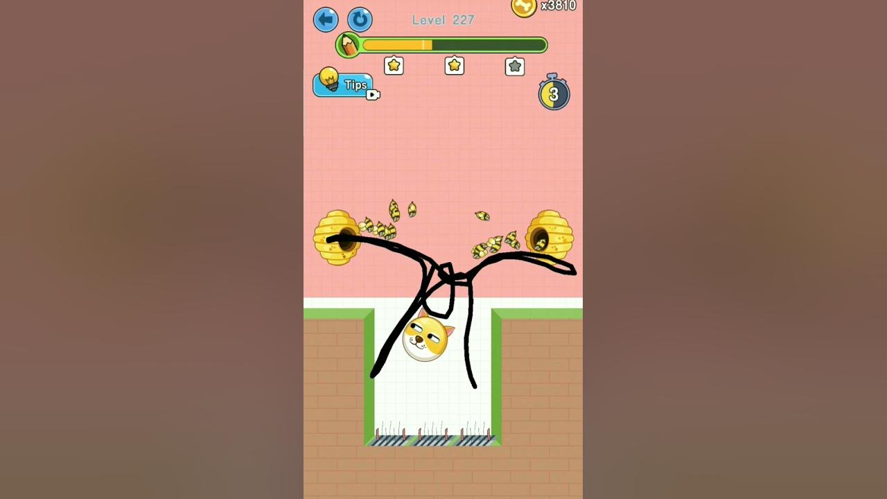 save-the-dog-game-play-227-level-done-shorts-youtube