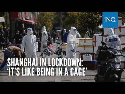 Shanghai in lockdown: ‘It’s like being in a cage’