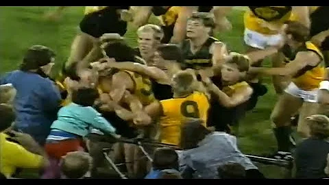 All in all Brawl AFL Fight/Melee SANFL Grand Final...