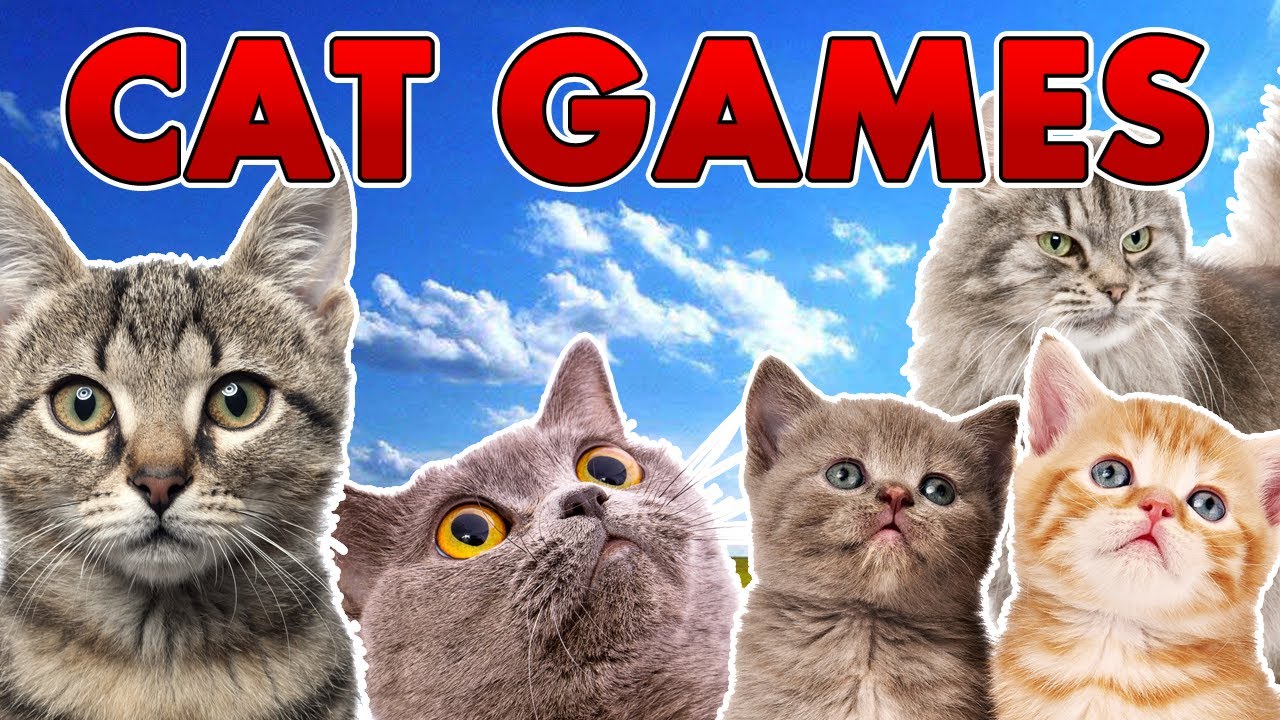 A Bunch of Cat Games  YouTube