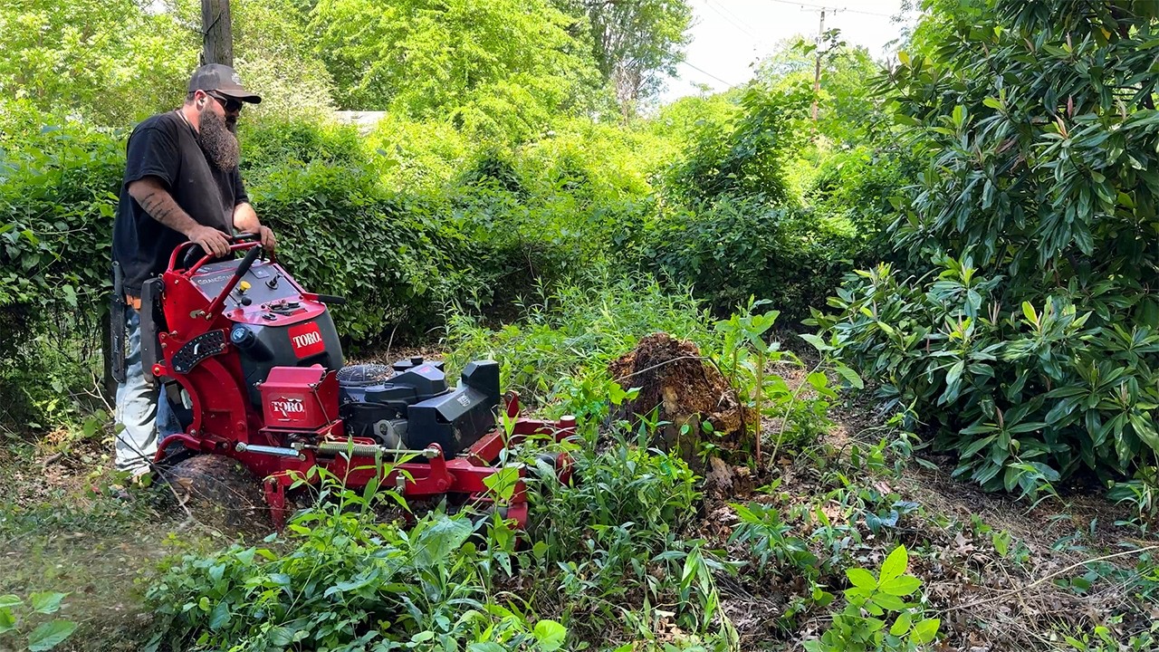 When he told me “It’s Been Like This for Years” – I Had No Idea What I Was In For