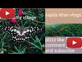  sajida khan vlogs my village    sajida khan vlogs  khan sajida vlogs