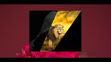 CSS & HTML Creative Image Hover Effects _ Using CSS Clip Path to Create Awesome Effects