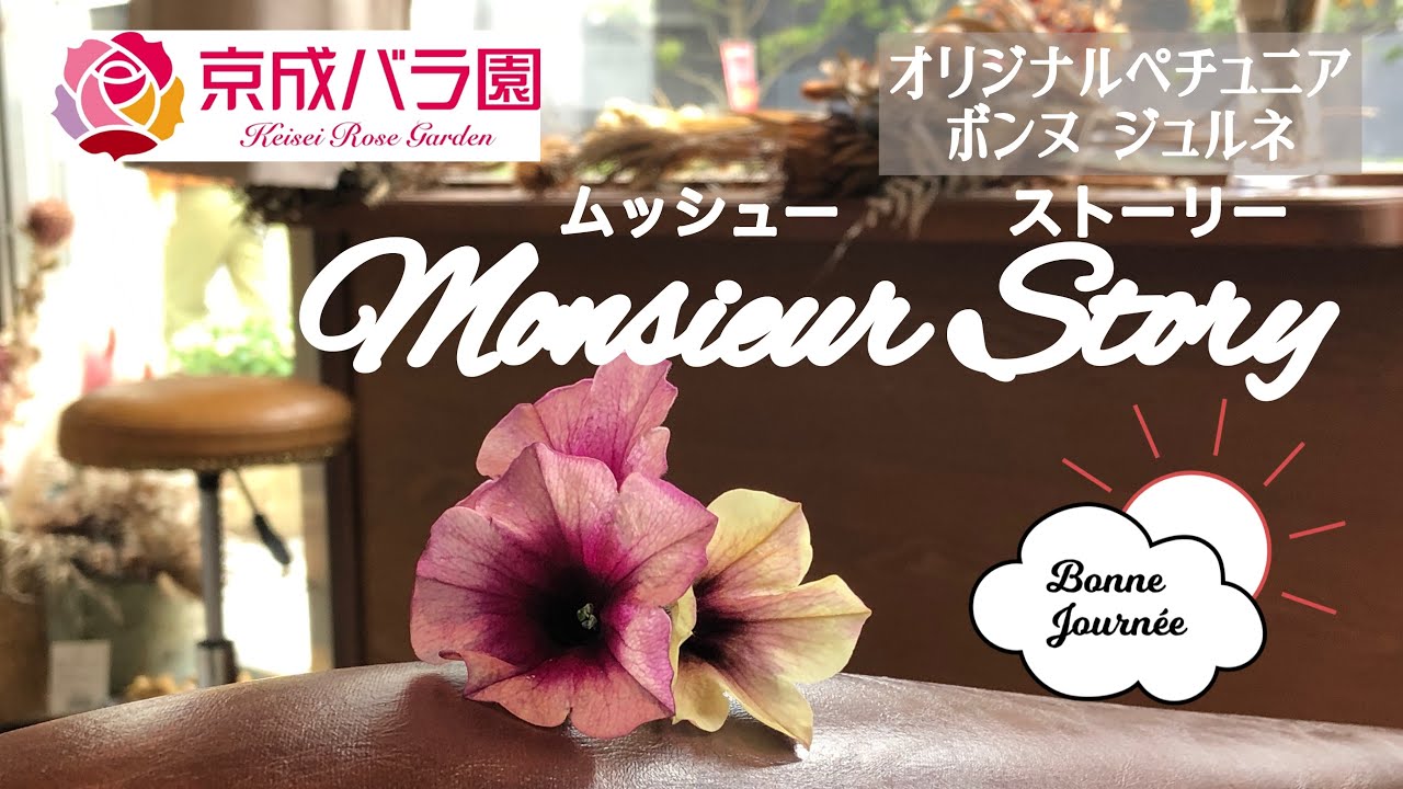 ペチュニア ボンヌ ジュルネ オリジナルペチュニア Je L Ai Rencontre それに出会った 花と出会った新たな生活 Youtube