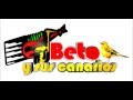 beto y sus canarios mix