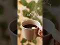 أقول لبيتنا اذا صرتو وحدي وهبت ليالا بثلج وبرد فيروز اجمل فيروزيات الصباح وشوي رواق وفنجان قهوة أقول لبيتنا اذا صرتو وحدي وهبت ليالا بثلج وبرد فيروز اجمل فيروزيات الصباح وشوي رواق وفنجان قهوة