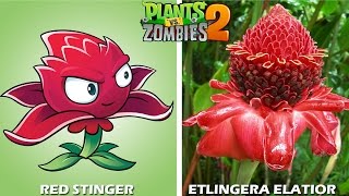 Plants Vs Zombies 2 Characters In Real Life