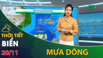 Thời tiết biển 20/11/2022: Nam biển Đông mưa rào và dông mạnh | VTC14