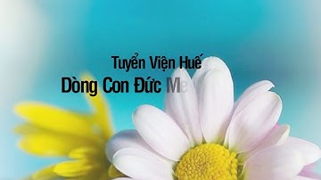 Sống Lời Chúa: Thứ Tư - CN XIV TN năm C