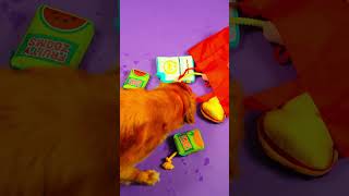 Woof & Whiskers Pet Toys Season 2 Recap #woofandwhiskers #heb #dogtoys #funnydogs #cutedogs