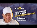 Швицкая порода коров в Казахстане: плюсы и минусы, уход за КРС и надои | Какпатас-Кордай | ElDala