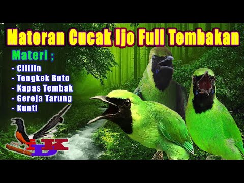 MASTERAN CUCAK IJO PILIHAN UNTUK POIN LOMBA | Suara Jernih Mix Gemercik Air