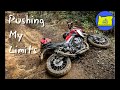 Pushing the Limits of the 2019 Honda CB500X vs KTM 390 Adventure | Oregon Motorcycle 2021