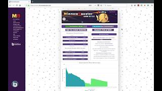 Minnowbooster - Status Bar Tutorial