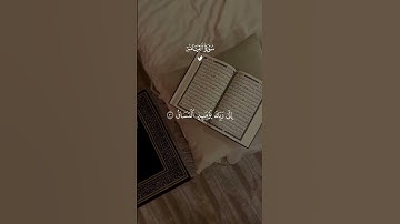 كَلَّا إِذَا بَلَغَتِ التَّرَاقِيَ #القرآن_الكريم #اكسبلور #المصحف #لايك #ماهرالمعيقلي #سورة_القيامة