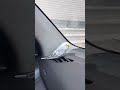Love birds 🐦  Ko Aaj car 🚘 main ghumaya #shorts #viral