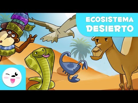 Video: ¿Por qué las plantas del desierto absorben co2 por la noche?