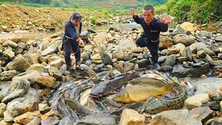 Dwarf Family in the Wild: Fishing Traps and a Shocking Python Encounter