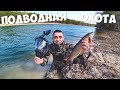 Подводная охота! Купил маску! Бобба за рулем.Жарю рыбу.