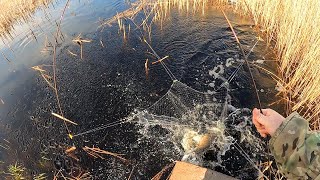 видео: ПОДЪЕХАЛ К РАЗЛИВУ И ОФИГЕЛ! РЫБА ЛЕЗЕТ НА БЕРЕГ! ПАУК- ВИНТОМ, КАМЫШ- ХОДУНОМ. Рыбалка на паук 2025 картинка: ПОДЪЕХАЛ К РАЗЛИВУ И ОФИГЕЛ! РЫБА ЛЕЗЕТ НА БЕРЕГ! ПАУК- ВИНТОМ, КАМЫШ- ХОДУНОМ. Рыбалка на паук 2025